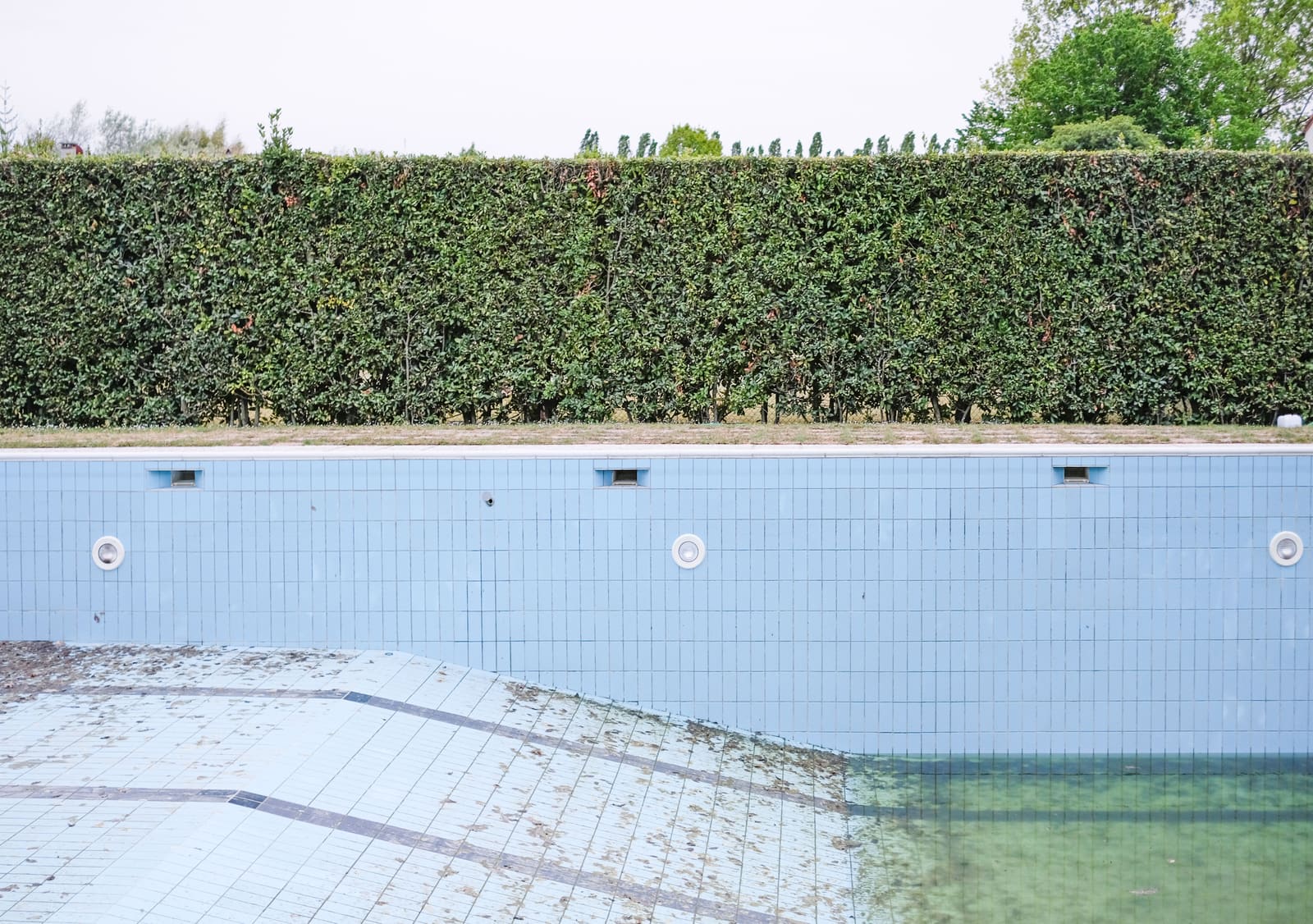 Empty, neglected backyard swimming pool overdue for removal